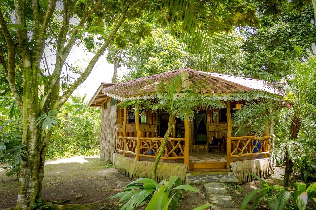 Hotel La Costa De Papito Puerto Viejo de Talamanca Rum bild