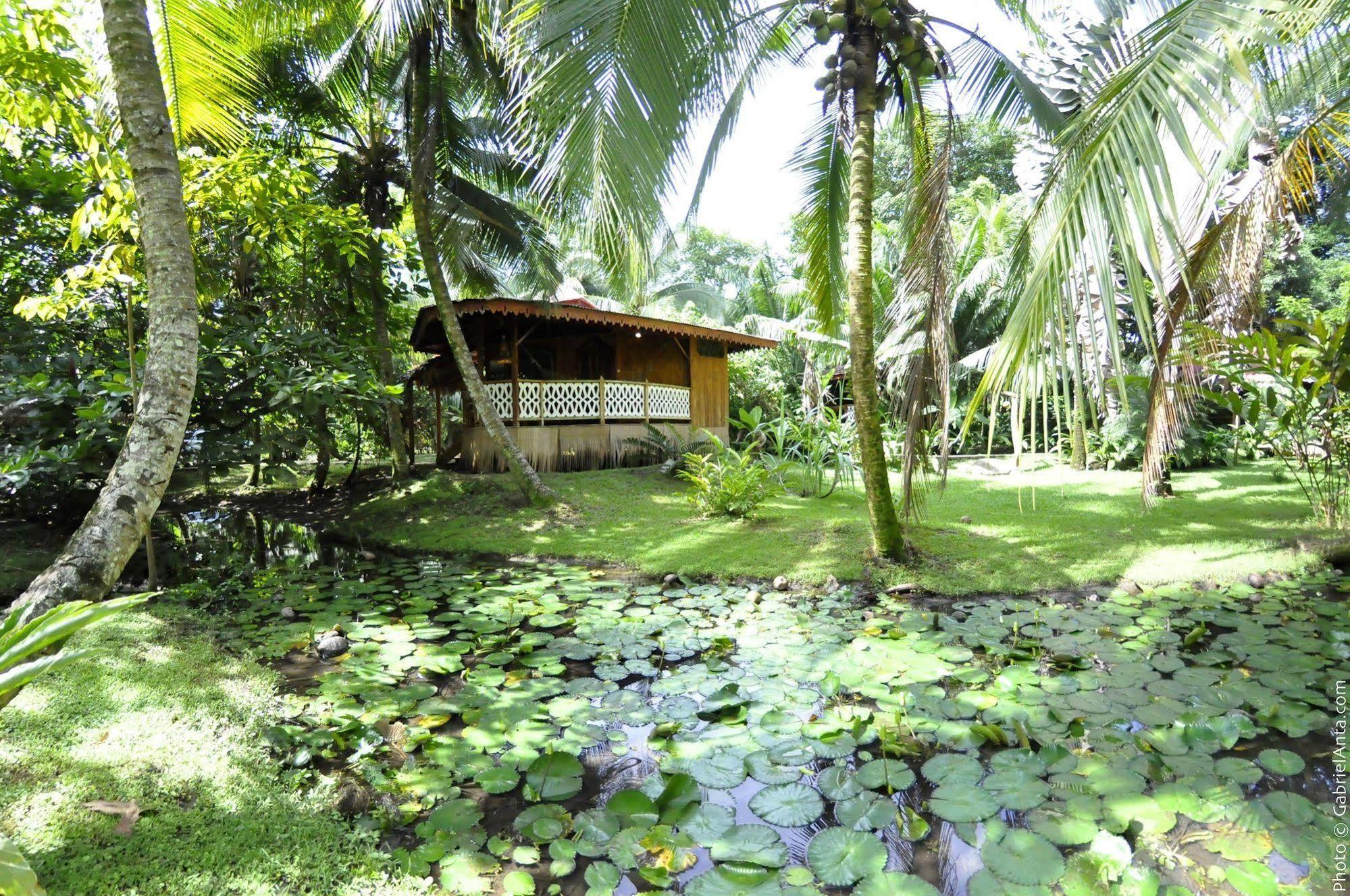 Hotel La Costa De Papito Puerto Viejo de Talamanca Exteriör bild